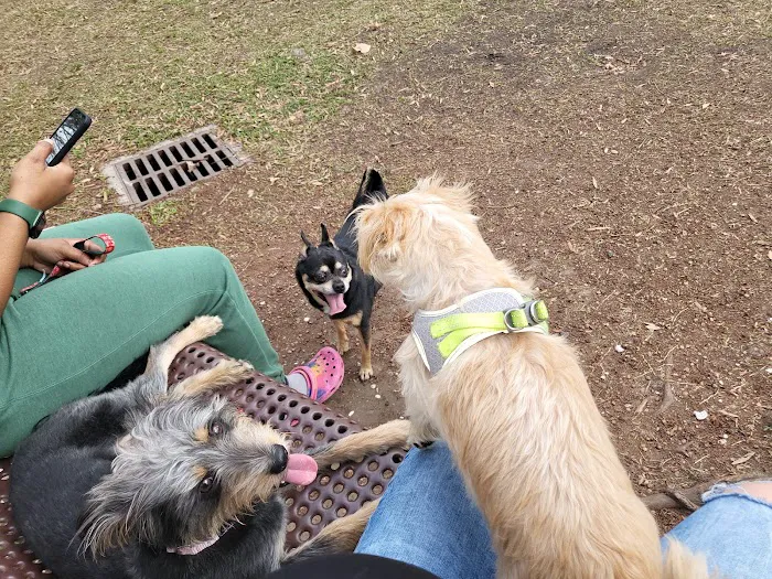 Lafreniere Dog park 8