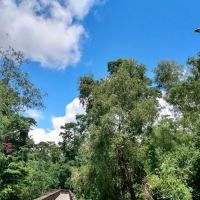 Parc des Familles Dog Park ico