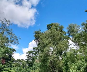 Parc des Familles Dog Park