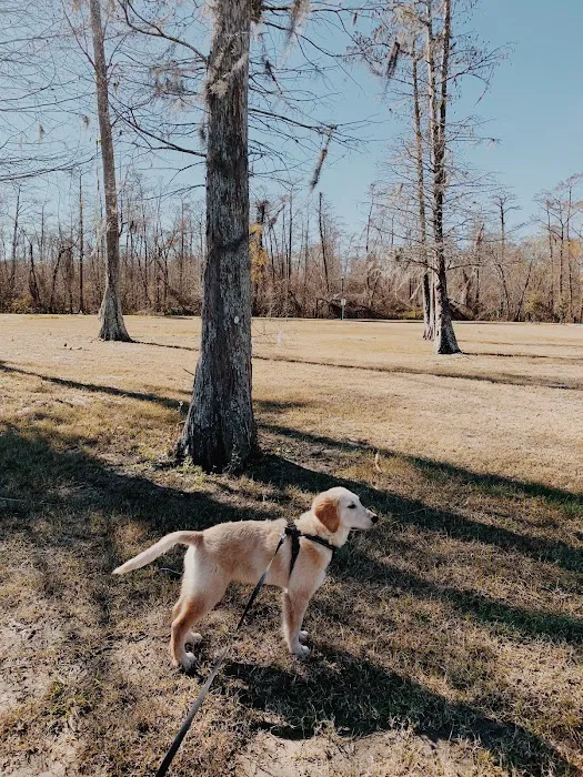 Parc des Familles Dog Park 8