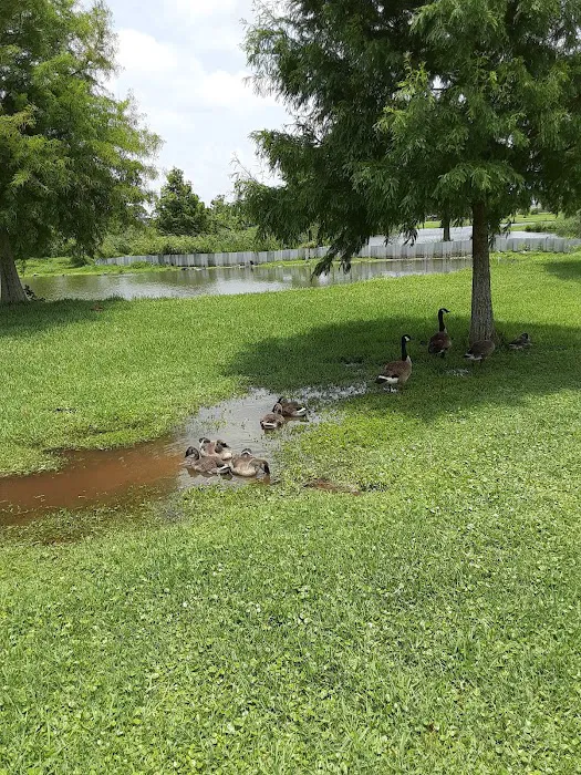 Kenner City Park Dog Park 8