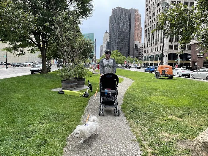 Cadillac Square Dog Park 9