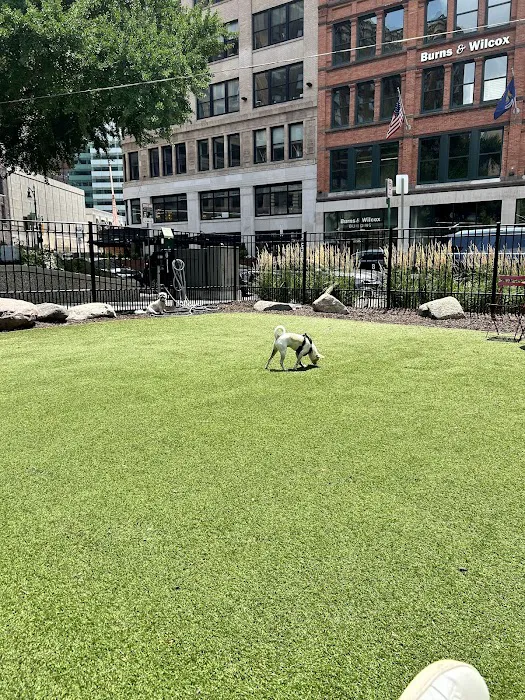 Capitol Park Dog Park 5