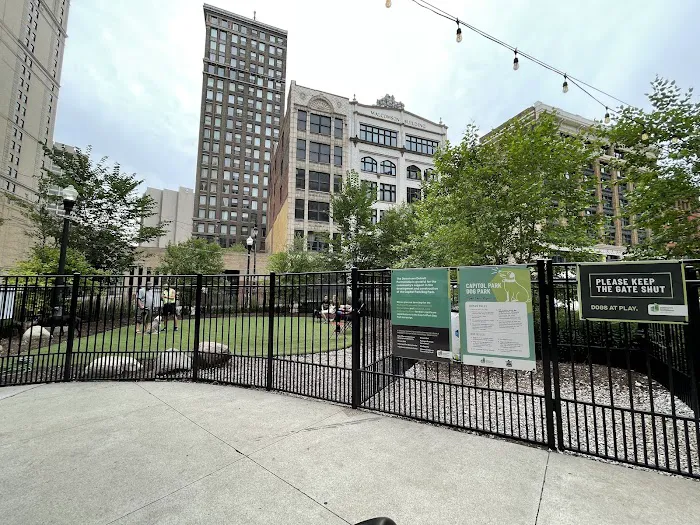 Capitol Park Dog Park 6
