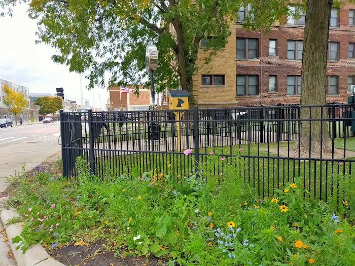 Midtown Dog Park 1