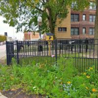 Midtown Dog Park ico