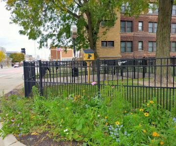 Midtown Dog Park