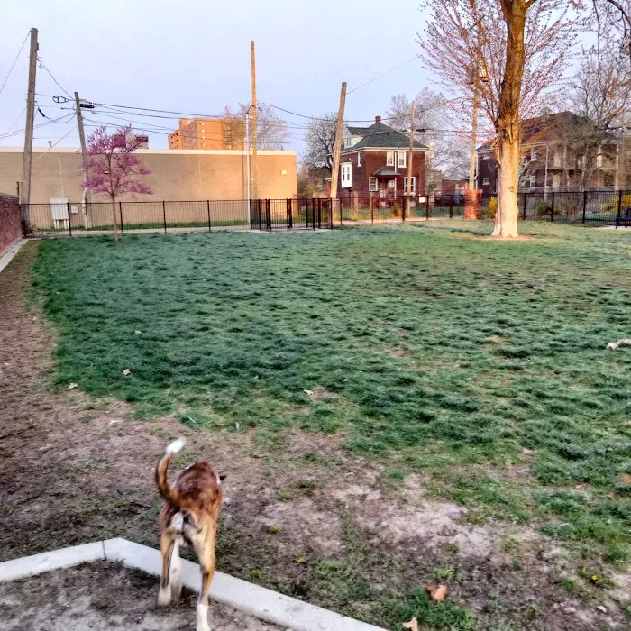 Rose Dog Park 7