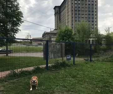 PetSmart P.U.P.'s Detroit Dog Park