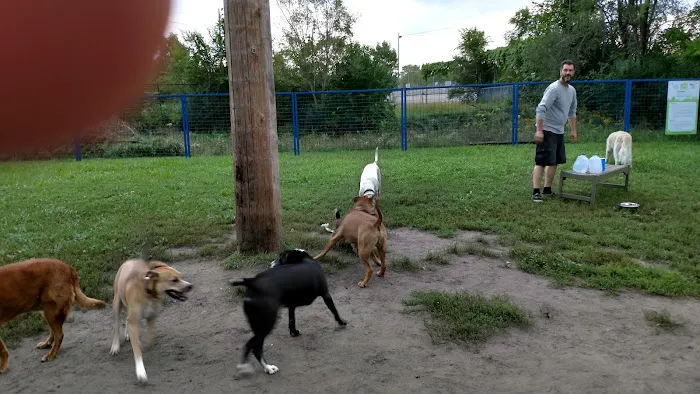 Detroit Dog Park 1