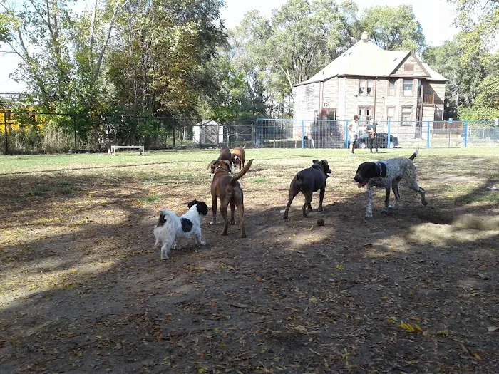 Detroit Dog Park 6