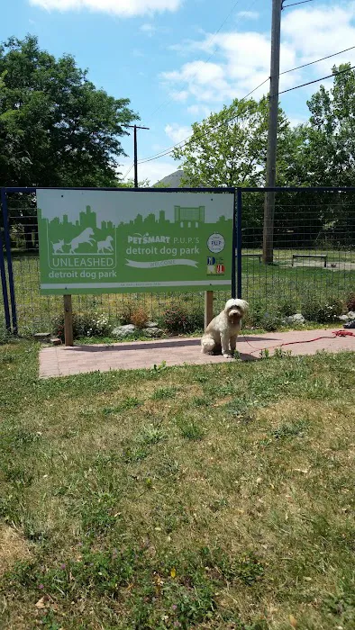 Detroit Dog Park 7