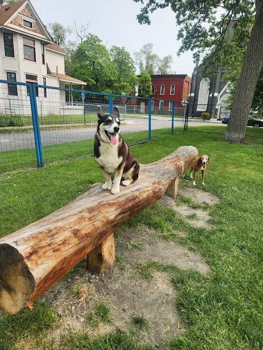 Detroit Dog Park 9