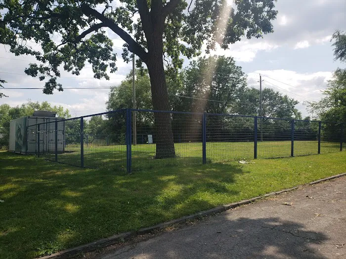 Detroit Dog Park 8