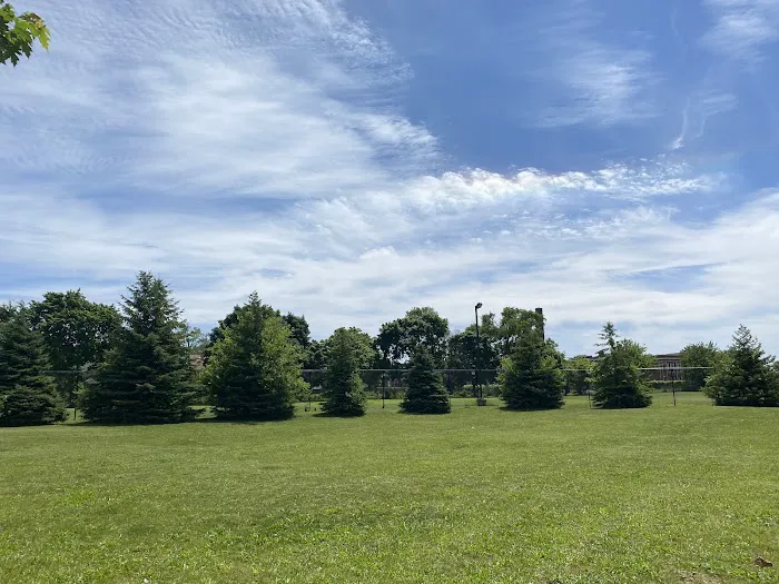Lasky Dog Park 1
