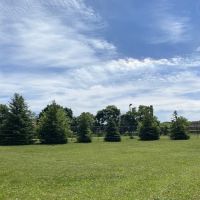Lasky Dog Park ico