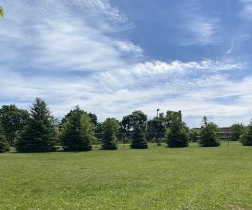 Lasky Dog Park