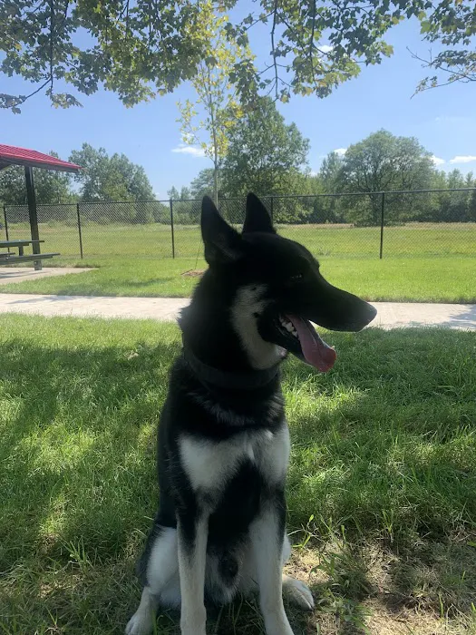 Palmer Dog Park 10