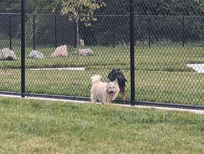 Palmer Dog Park 2