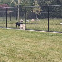 Palmer Dog Park ico