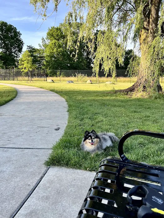 Palmer Dog Park 7