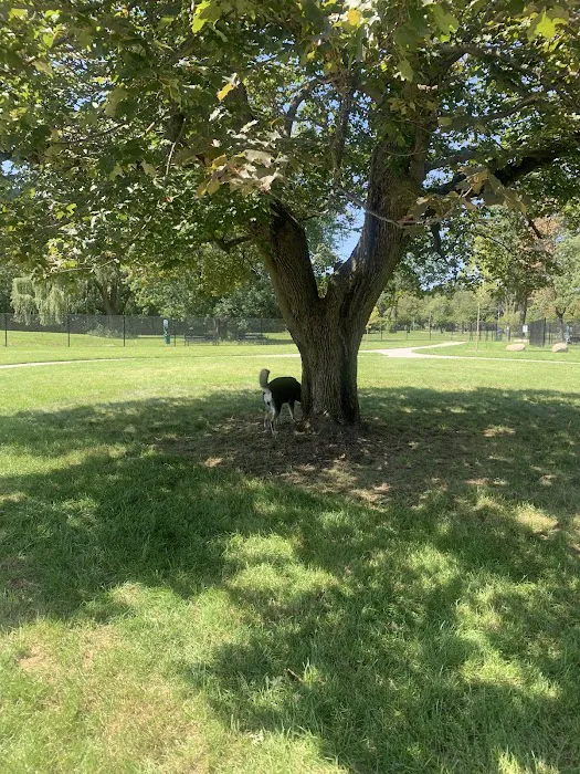 Palmer Dog Park 8