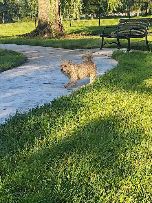 Palmer Dog Park 9