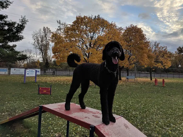 Dearborn Dog Park (Members Only) 1