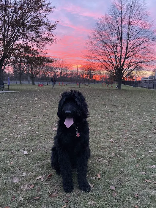 Dearborn Dog Park (Members Only) 9