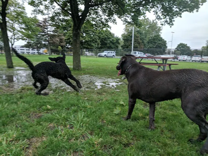 Dearborn Dog Park (Members Only) 4