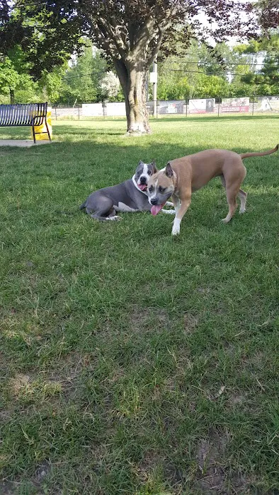 Dearborn Dog Park (Members Only) 7