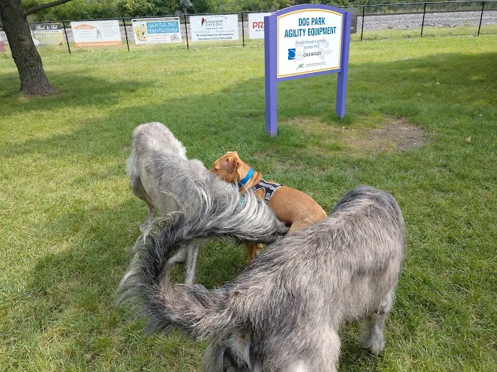 Dearborn Dog Park (Members Only) 3