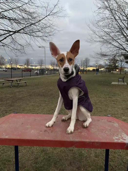 Dearborn Dog Park (Members Only) 6
