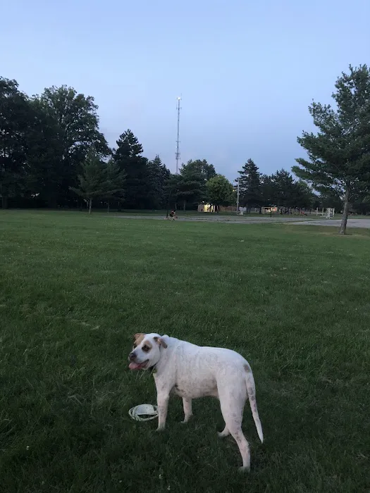 Ferndale Dog Park (Membership Required) 5