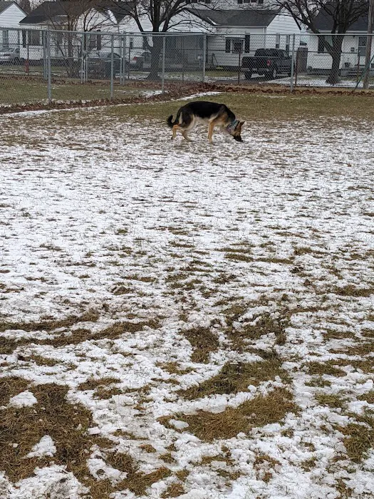 Dog Park 10