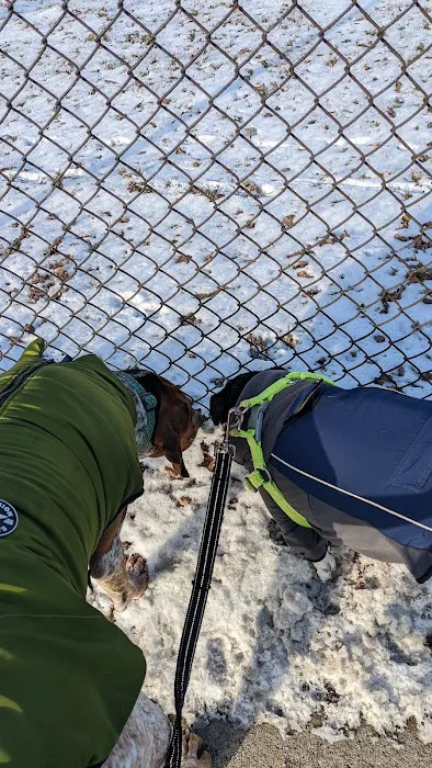 Dog Park 4