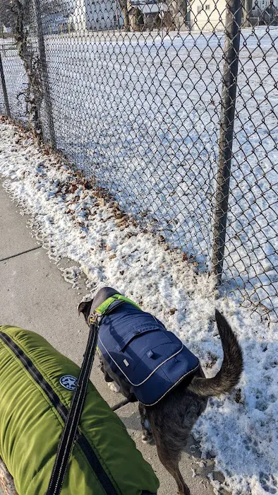 Dog Park 3