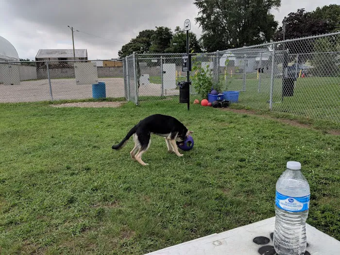 Dog Park 9