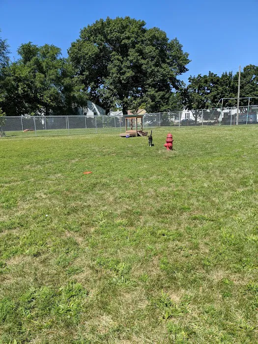 Dog Park 5