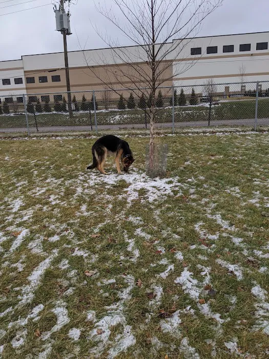 Dog Park 2