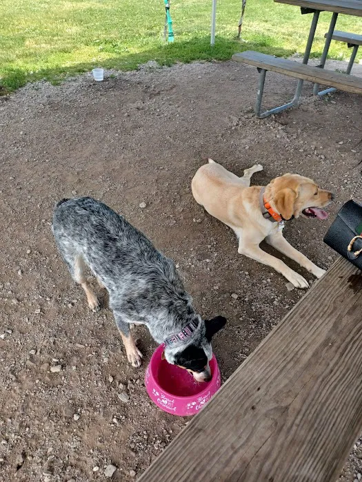 Red Oaks Dog Park 2