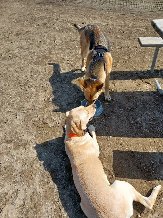 Red Oaks Dog Park 3