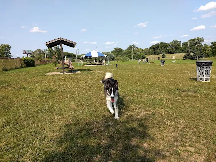 Red Oaks Dog Park 10