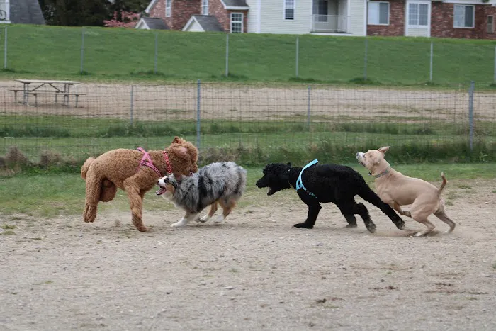 Red Oaks Dog Park 6