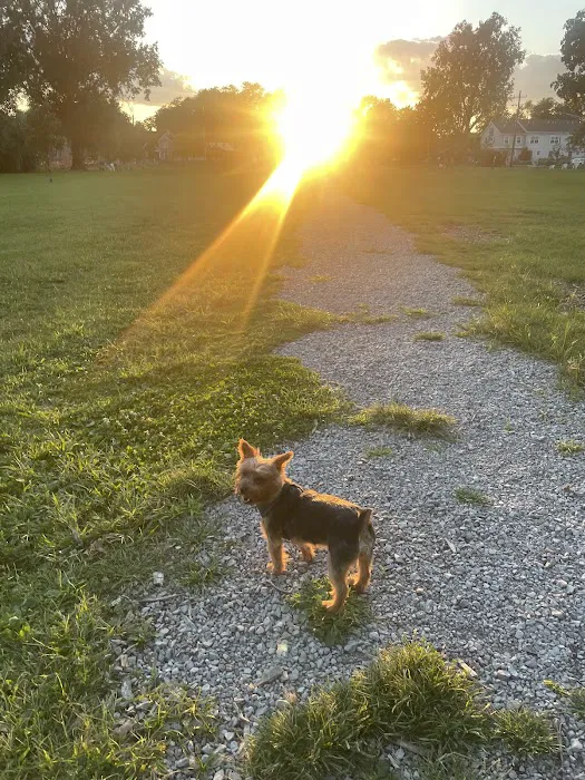 Mark Twain Dog Park-membership 10