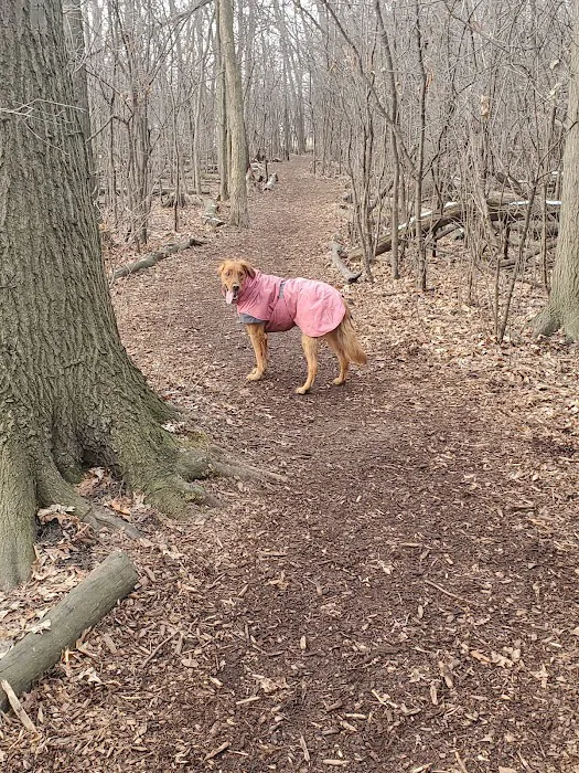 Mark Twain Dog Park-membership 9