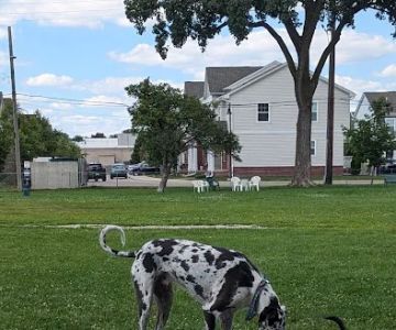 Mark Twain Dog Park-membership