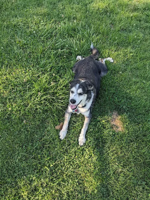 Mark Twain Dog Park-membership 7