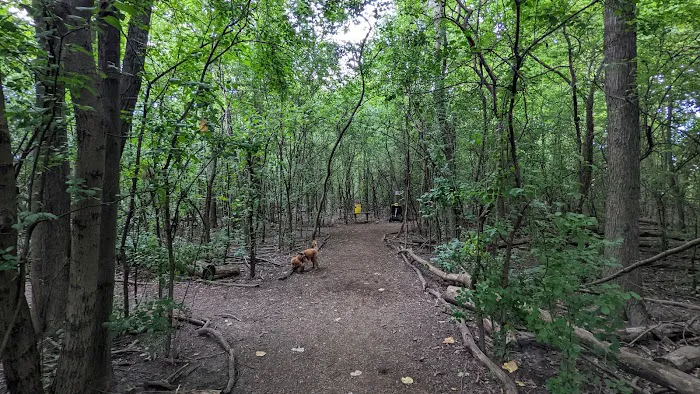Mark Twain Dog Park-membership 5
