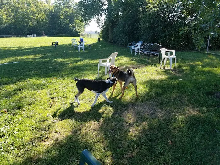 Mark Twain Dog Park-membership 6